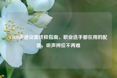 CSGO声道设置终极指南，职业选手都在用的配置，听声辨位不再难