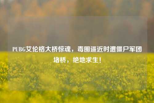 PUBG艾伦格大桥惊魂，毒圈逼近时遭僵尸军团堵桥，绝地求生！