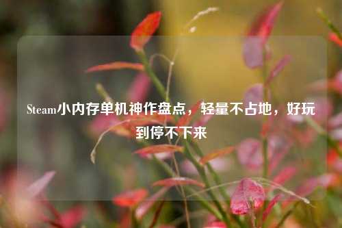 Steam小内存单机神作盘点，轻量不占地，好玩到停不下来