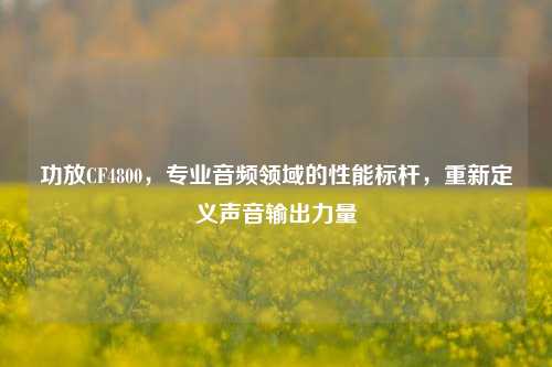 功放CF4800，专业音频领域的性能标杆，重新定义声音输出力量