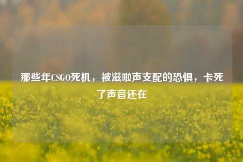那些年CSGO死机，被滋啦声支配的恐惧，卡死了声音还在