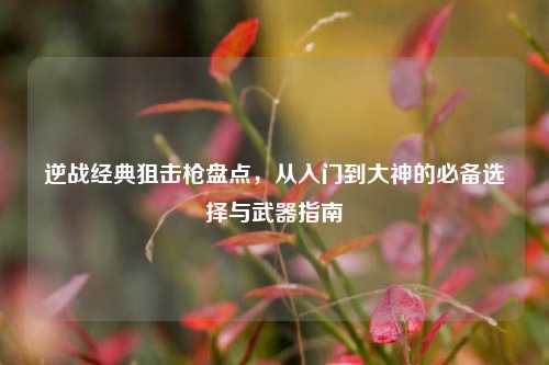 逆战经典狙击枪盘点，从入门到大神的必备选择与武器指南