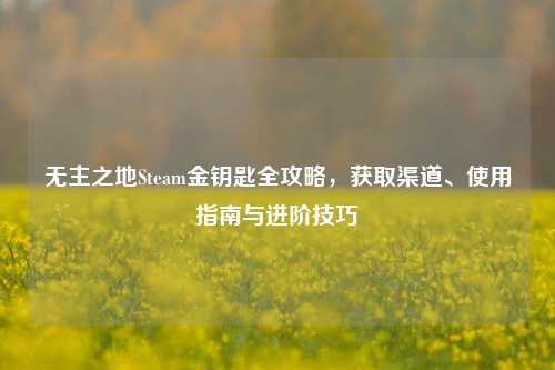 无主之地Steam金钥匙全攻略，获取渠道、使用指南与进阶技巧
