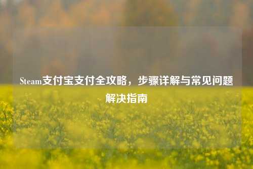 Steam支付宝支付全攻略，步骤详解与常见问题解决指南
