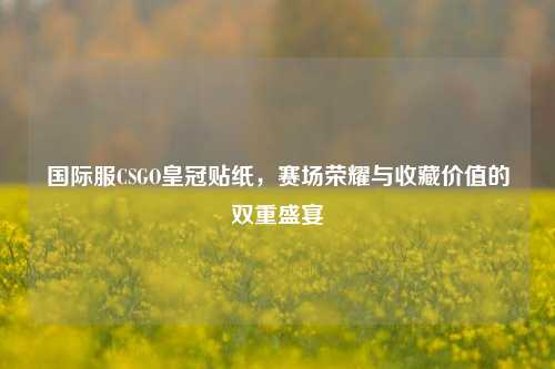 国际服CSGO皇冠贴纸，赛场荣耀与收藏价值的双重盛宴