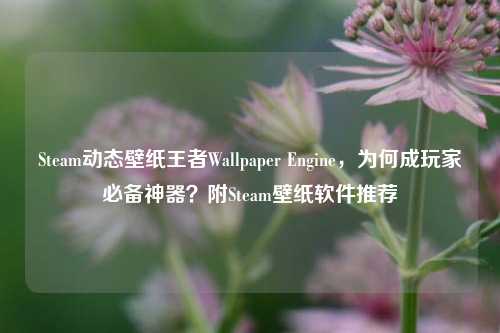 Steam动态壁纸王者Wallpaper Engine，为何成玩家必备神器？附Steam壁纸软件推荐