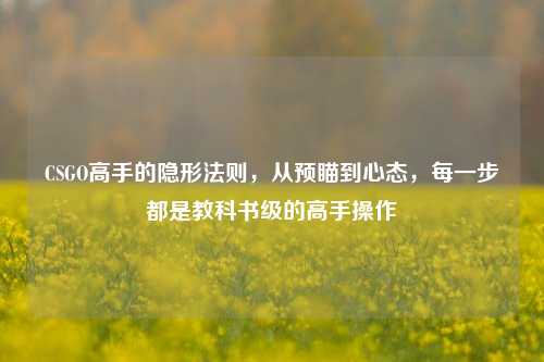CSGO高手的隐形法则，从预瞄到心态，每一步都是教科书级的高手操作