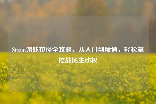 Steam游戏拉怪全攻略，从入门到精通，轻松掌控战场主动权