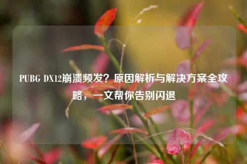 PUBG DX12崩溃频发？原因解析与解决方案全攻略，一文帮你告别闪退