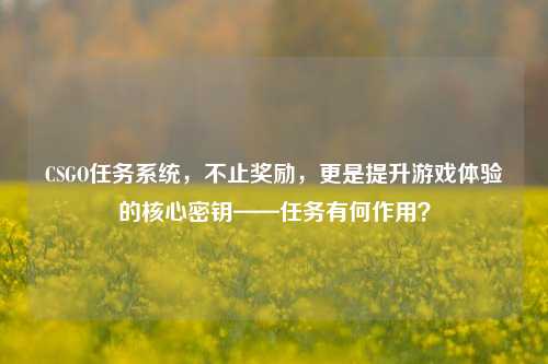 CSGO任务系统，不止奖励，更是提升游戏体验的核心密钥——任务有何作用？