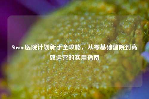 Steam医院计划新手全攻略，从零基础建院到高效运营的实用指南