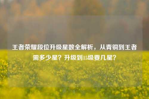 王者荣耀段位升级星数全解析，从青铜到王者需多少星？升级到15级要几星？