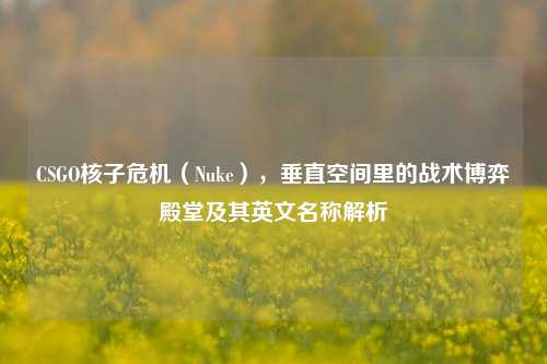 CSGO核子危机（Nuke），垂直空间里的战术博弈殿堂及其英文名称解析