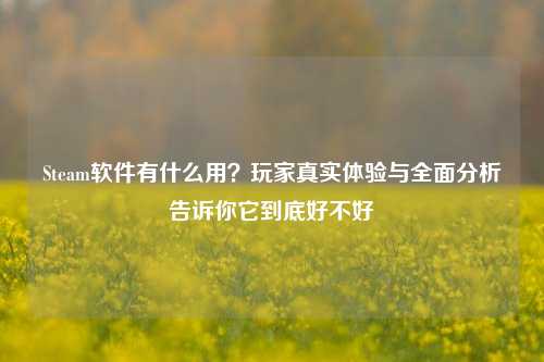 Steam软件有什么用？玩家真实体验与全面分析告诉你它到底好不好