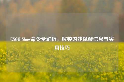 CSGO Show命令全解析，解锁游戏隐藏信息与实用技巧