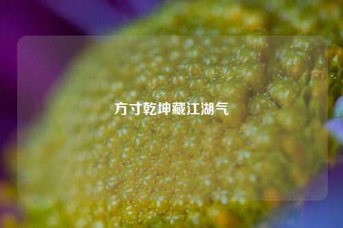 方寸乾坤藏江湖气