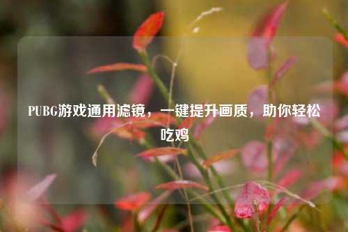 PUBG游戏通用滤镜，一键提升画质，助你轻松吃鸡