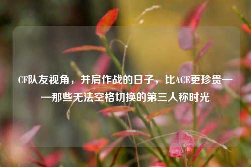 CF队友视角，并肩作战的日子，比ACE更珍贵——那些无法空格切换的第三人称时光
