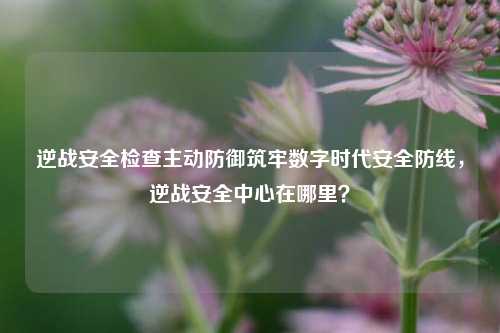 逆战安全检查主动防御筑牢数字时代安全防线，逆战安全中心在哪里？