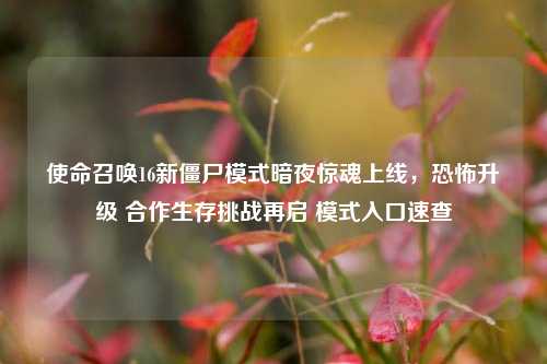 使命召唤16新僵尸模式暗夜惊魂上线，恐怖升级 合作生存挑战再启 模式入口速查