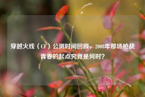 穿越火线（CF）公测时间回顾，2008年那场枪战青春的起点究竟是何时？