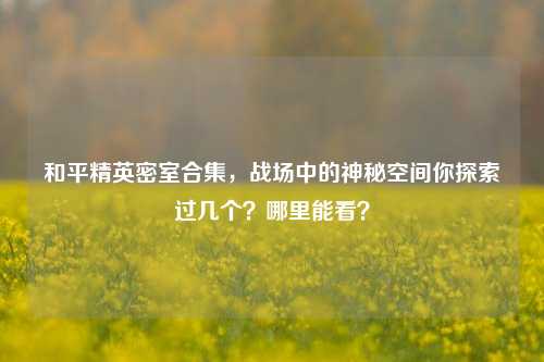 和平精英密室合集，战场中的神秘空间你探索过几个？哪里能看？
