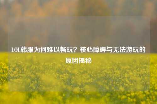 LOL韩服为何难以畅玩?核心障碍与无法游玩的原因揭秘