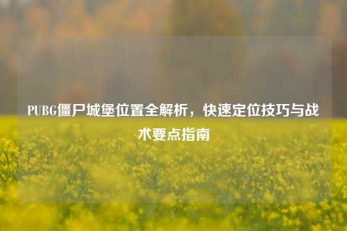 PUBG僵尸城堡位置全解析，快速定位技巧与战术要点指南