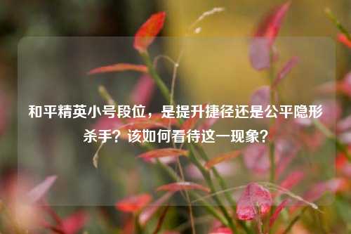和平精英小号段位，是提升捷径还是公平隐形杀手？该如何看待这一现象？