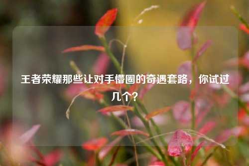王者荣耀那些让对手懵圈的奇遇套路，你试过几个？