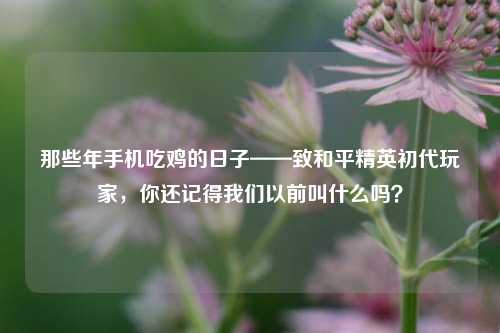 那些年手机吃鸡的日子——致和平精英初代玩家，你还记得我们以前叫什么吗？