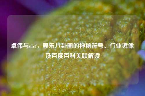 卓伟与s1cf，娱乐八卦圈的神秘符号、行业镜像及百度百科关联解读