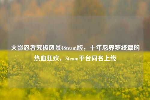 火影忍者究极风暴4Steam版,十年忍界梦终章的热血狂欢,Steam平台同名上线
