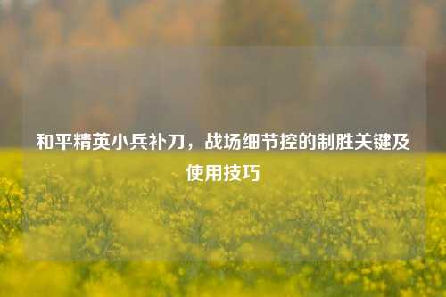 和平精英小兵补刀，战场细节控的制胜关键及使用技巧