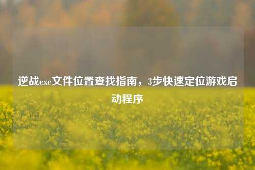逆战exe文件位置查找指南，3步快速定位游戏启动程序