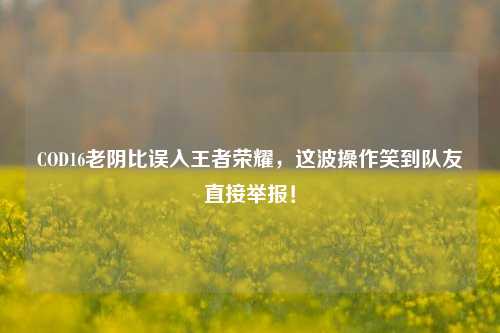 COD16老阴比误入王者荣耀，这波操作笑到队友直接举报！