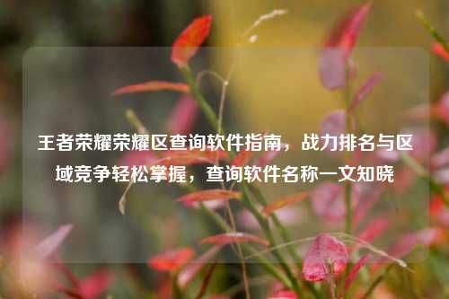 王者荣耀荣耀区查询软件指南，战力排名与区域竞争轻松掌握，查询软件名称一文知晓