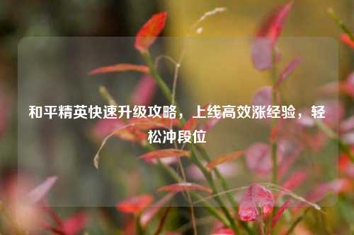 和平精英快速升级攻略，上线高效涨经验，轻松冲段位