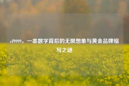 cf9999，一串数字背后的无限想象与黄金品牌缩写之谜