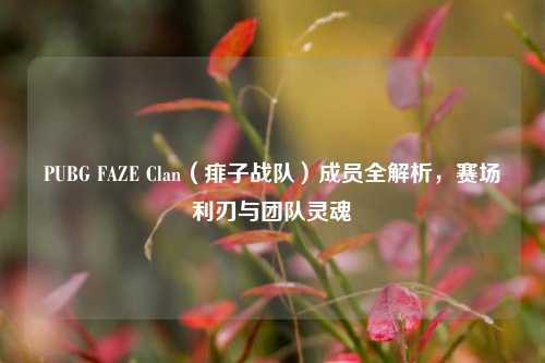 PUBG FAZE Clan（痱子战队）成员全解析，赛场利刃与团队灵魂