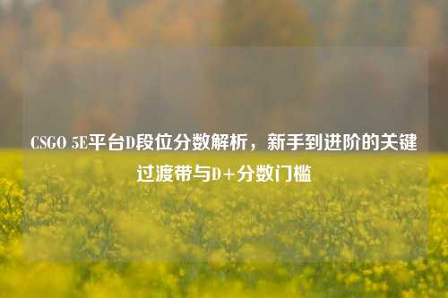 CSGO 5E平台D段位分数解析，新手到进阶的关键过渡带与D+分数门槛