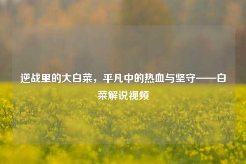 逆战里的大白菜，平凡中的热血与坚守——白菜解说视频