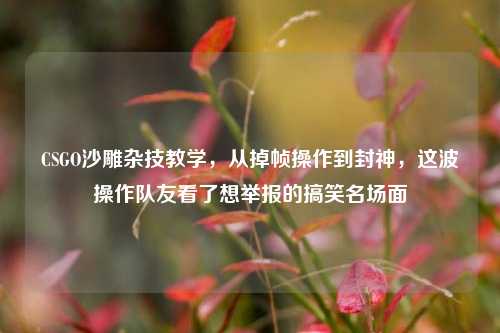 CSGO沙雕杂技教学，从掉帧操作到封神，这波操作队友看了想举报的搞笑名场面