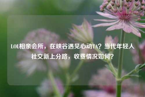 LOL相亲会所，在峡谷遇见心动TA？当代年轻人社交新上分路，收费情况如何？