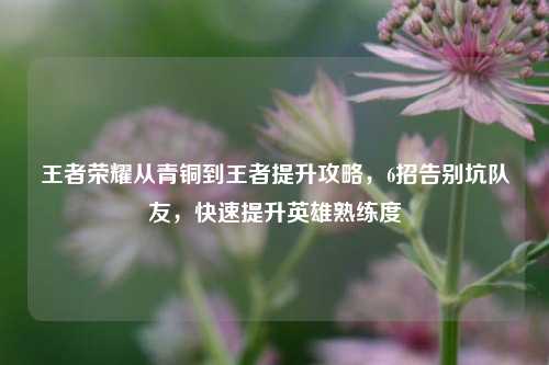 王者荣耀从青铜到王者提升攻略，6招告别坑队友，快速提升英雄熟练度