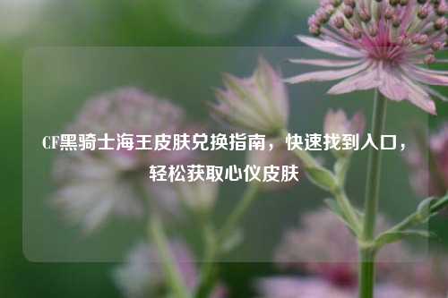 CF黑骑士海王皮肤兑换指南，快速找到入口，轻松获取心仪皮肤