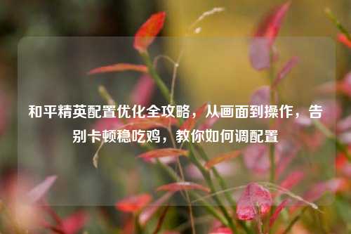 和平精英配置优化全攻略，从画面到操作，告别卡顿稳吃鸡，教你如何调配置