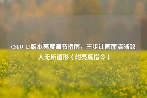 CSGO 4.3版本亮度调节指南，三步让画面清晰敌人无所遁形（附亮度指令）