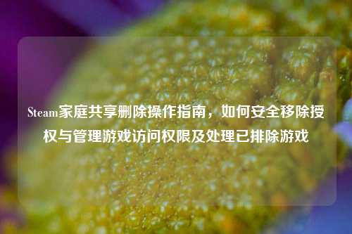 Steam家庭共享删除操作指南，如何安全移除授权与管理游戏访问权限及处理已排除游戏