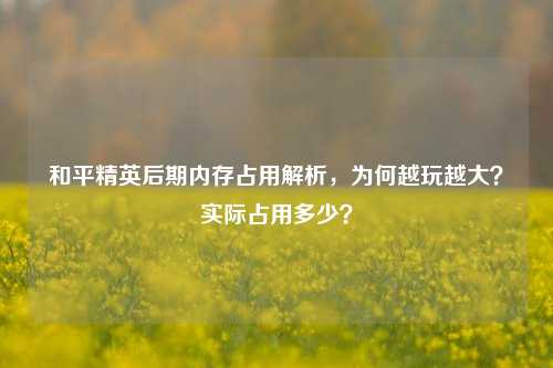 和平精英后期内存占用解析，为何越玩越大？实际占用多少？